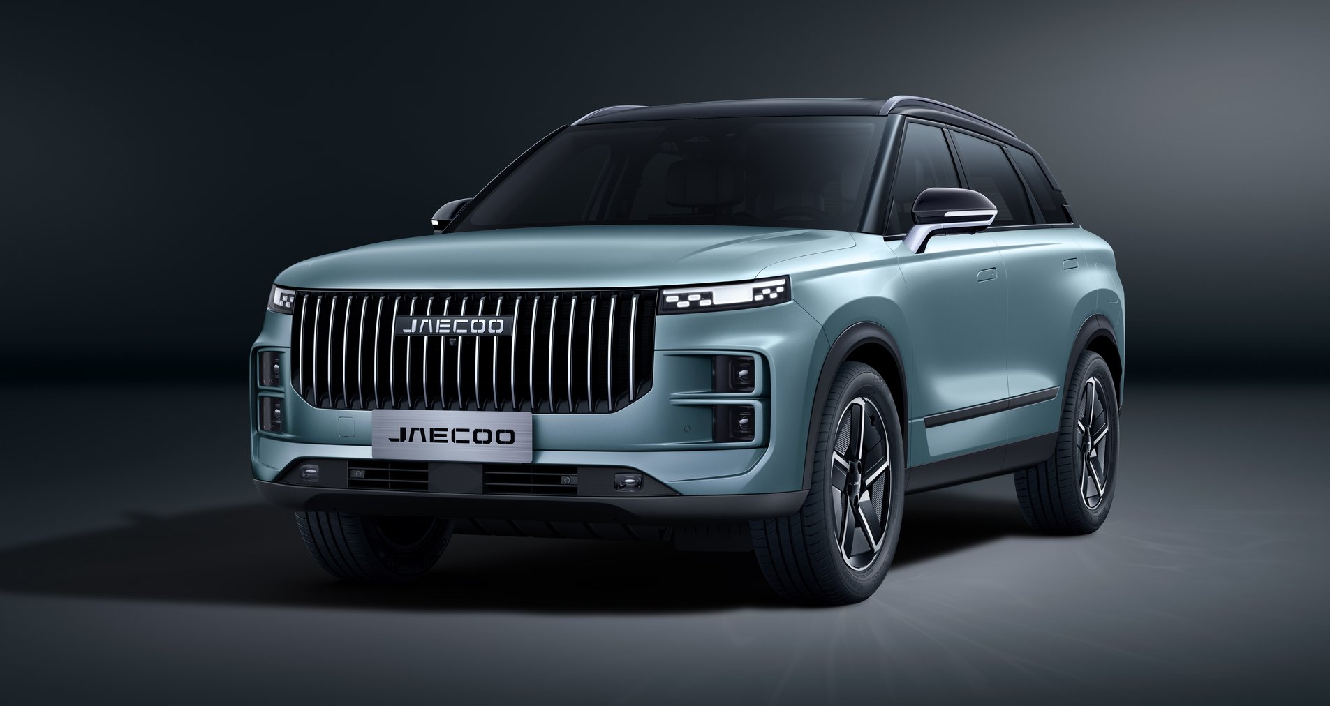 OLIVE GRAY / CZARNY DACH